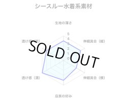 画像5: やや小さめ幾何学シースルー水着系素材黒猫水色