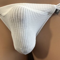 画像2: やや小さめシースルーストライプ黒猫白