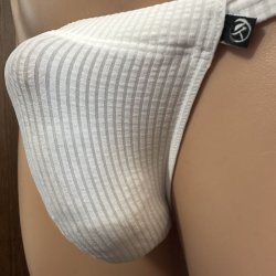 画像3: やや小さめシースルーストライプ黒猫白