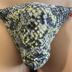 画像1: やや小さめ少し薄手のブラックパイソン黒猫（水着系素材）