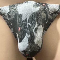 画像1: 舞鶴紋様黒猫（水着系素材）