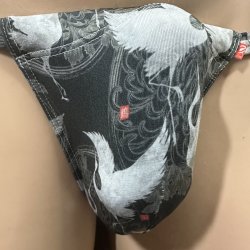 画像3: 舞鶴紋様黒猫（水着系素材）