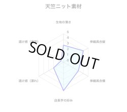 画像5: やや小さめ天竺ニット黒猫薄カラシ