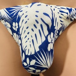 画像1: ハイビスカス黒猫ネイビー（薄手の綿混柔らか素材）