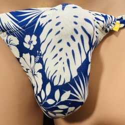 画像3: ハイビスカス黒猫ネイビー（薄手の綿混柔らか素材）