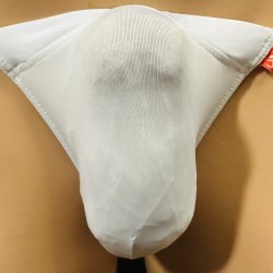 画像1: やや小さめ薄手の機能性素材黒猫白