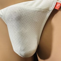 画像2: 通気性メッシュ黒猫キナリ