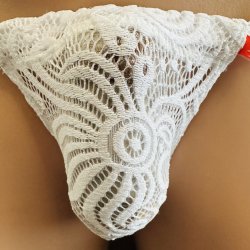画像1: パワーネット立体唐草紋様黒猫（唐草模様の特殊パワーネット）