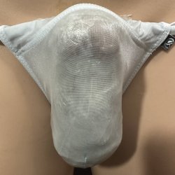 画像1: やや小さめ極薄シースルー機能性素材黒猫ライトグレー