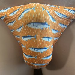 画像1: 秋刀魚デザイン黒猫（薄手の綿混柔らか素材）