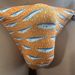 画像3: 秋刀魚デザイン黒猫（薄手の綿混柔らか素材）