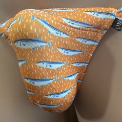画像2: 秋刀魚デザイン黒猫（薄手の綿混柔らか素材）