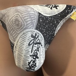 画像2: 極小パリッと薄手の小判紋様黒猫