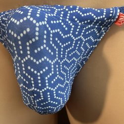 画像2: 毘沙門亀甲紋様縄猫（綿混柔らか素材＋縄）