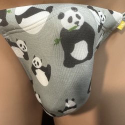 画像3: パンダデザイン黒猫（薄手の綿混柔らか素材）