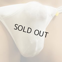 画像3: やや小さめシースルー水着系素材黒猫白