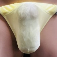 やや小さめシースルー水着系素材黒猫黄色