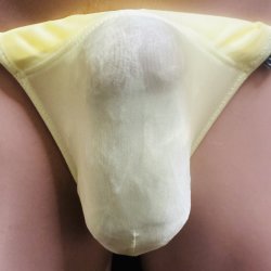 画像1: やや小さめシースルー水着系素材黒猫黄色