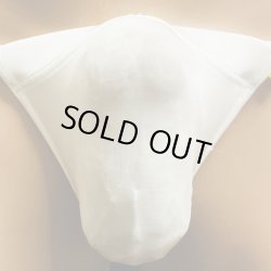 画像1: やや小さめシースルー水着系素材黒猫白