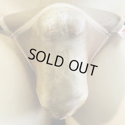 画像1: やや小さめ極薄シースルー機能性素材黒猫ダークスキン