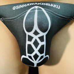 画像1: SINNAWA Design黒猫（水着系素材）ビッグデザイン