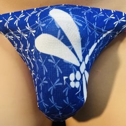 画像1: 勝ち虫紋様黒猫（薄手の綿混柔らか素材）大蜻蛉