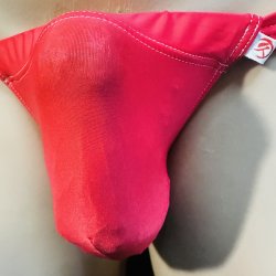 画像2: やや小さめ柔らか薄手の機能性素材黒猫赤