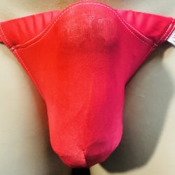 画像1: やや小さめ柔らか薄手の機能性素材黒猫赤