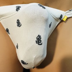 画像3: 縁起亀紋様黒猫　（薄手の綿混柔らか素材）