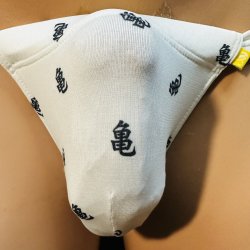 画像1: 縁起亀紋様黒猫　（薄手の綿混柔らか素材）