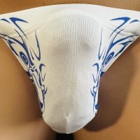 仁王紋黒猫（水着系素材）