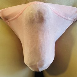 画像1: 染め!!やや小さめシースルー水着系素材黒猫薄橙