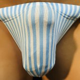 縞紋様黒猫水色　（薄手の綿混柔らか素材）