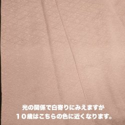 画像4: 2/3幅！！穴空き 薄手の天竺ニット素材六尺退紅