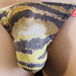 画像2: ラメ虎迷彩黒猫（しっかり水着系素材）