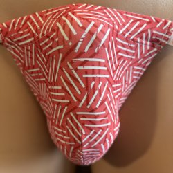 画像1: 和紋幾何学黒猫（水着系素材）