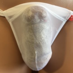 画像1: やや小さめ極薄シースルー機能性素材黒猫ホワイト