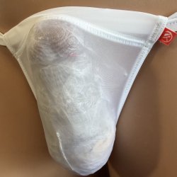 画像2: やや小さめ極薄シースルー機能性素材黒猫ホワイト