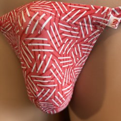 画像2: 和紋幾何学黒猫（水着系素材）