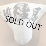 画像: 雄種馬黒猫（水着系素材）