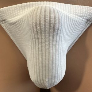 画像: やや小さめシースルーストライプ黒猫白