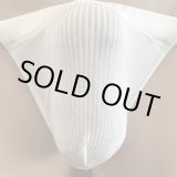 画像: やや小さめ新シースルーボーダー黒猫キナリ