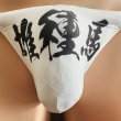 画像1: 雄種馬縄猫（水着系素材＋縄） (1)