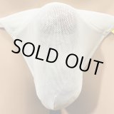 画像: やや小さめパワーネット黒猫白