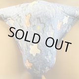 画像: 花散らし模様黒猫（水着系素材）