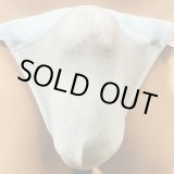 画像: 極小シースルー水着系素材黒猫水色（以前のものより濃い水色です）