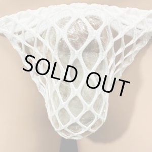 画像: 超絶網ネット黒猫白