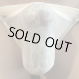 画像: やや小さめシースルー機能性素材黒猫スキンカラー