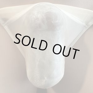 画像: やや小さめシースルー機能性素材黒猫スキンカラー