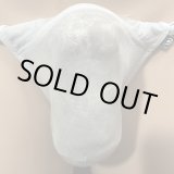 画像: やや小さめ極薄シースルー機能性素材黒猫ライトグレー